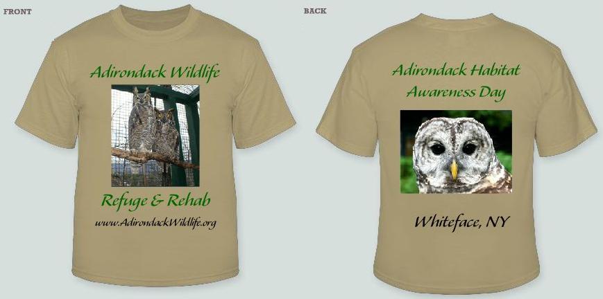 Owls