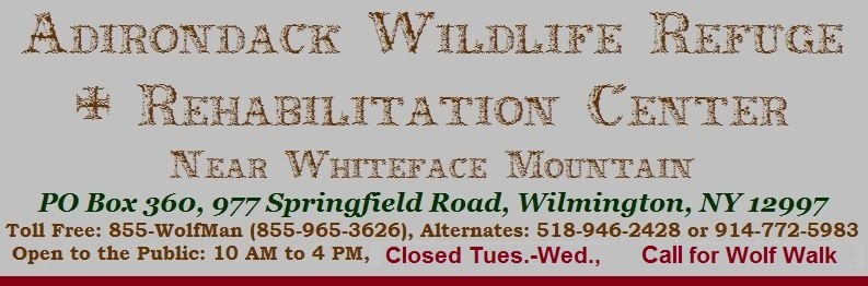 Adirondack Wildlife Refuge & Rehab Center