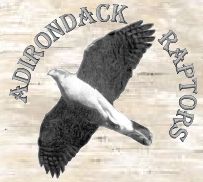 Adirondack raptor banding and education site