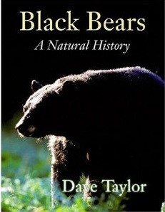 Black Bear - Natural History by dave Taylor