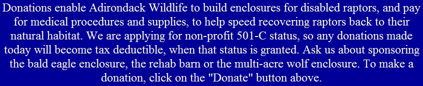 Donate