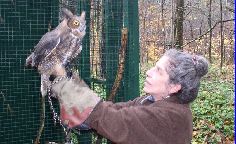 Poodle being released