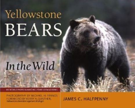 James Halfpenny, Yellowstone Beras in the Wild5