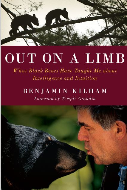 Benjamin Kilham: Out on a Limb