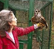 Wendy with Luna the Barred Owl