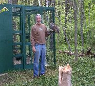 Barred Owl Luna with Steve