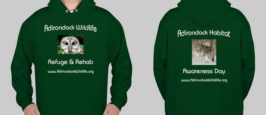 Sweatshirt Hoody