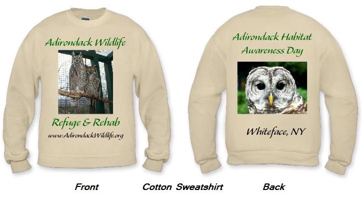 Owl Sweatshirt
