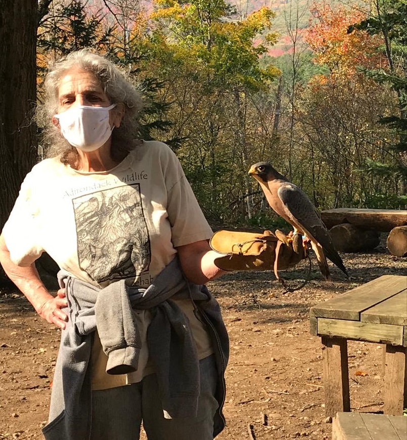 Wendy with Barbary Falcon