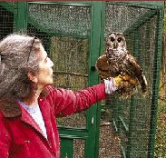Wendy with Luna the Barred Owl