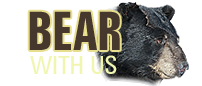 Bear with Us  Rehab and Release Program