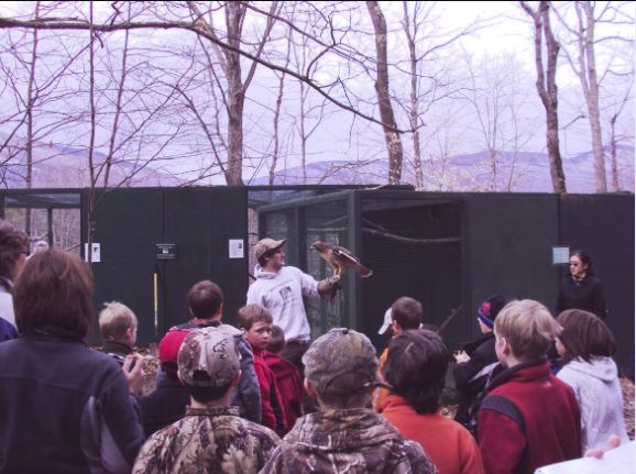 Alex & Jonas- Red-Tailed Hawk