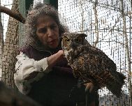 Wendy & Artemis by Terry Hawthorne
